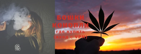 шишки Абдулино