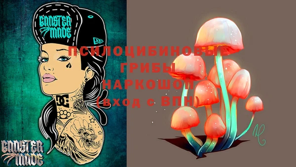 дурь Алексин