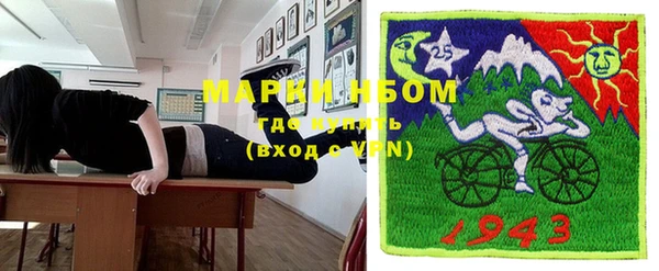 прущий лед Алзамай