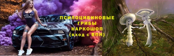 прущий лед Алзамай