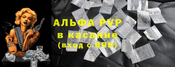 гашик Алексеевка