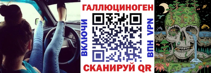 Псилоцибиновые грибы Psilocybe Приозерск